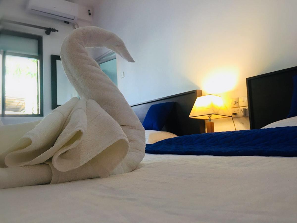 Blue Whale Holiday Hotel Mirissa Zimmer foto