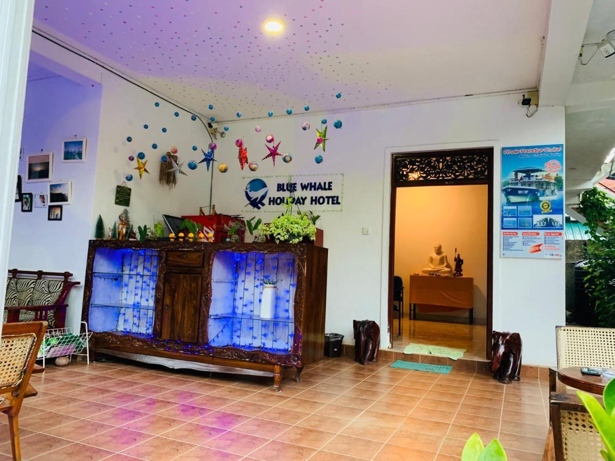 Blue Whale Holiday Hotel Mirissa Exterior foto